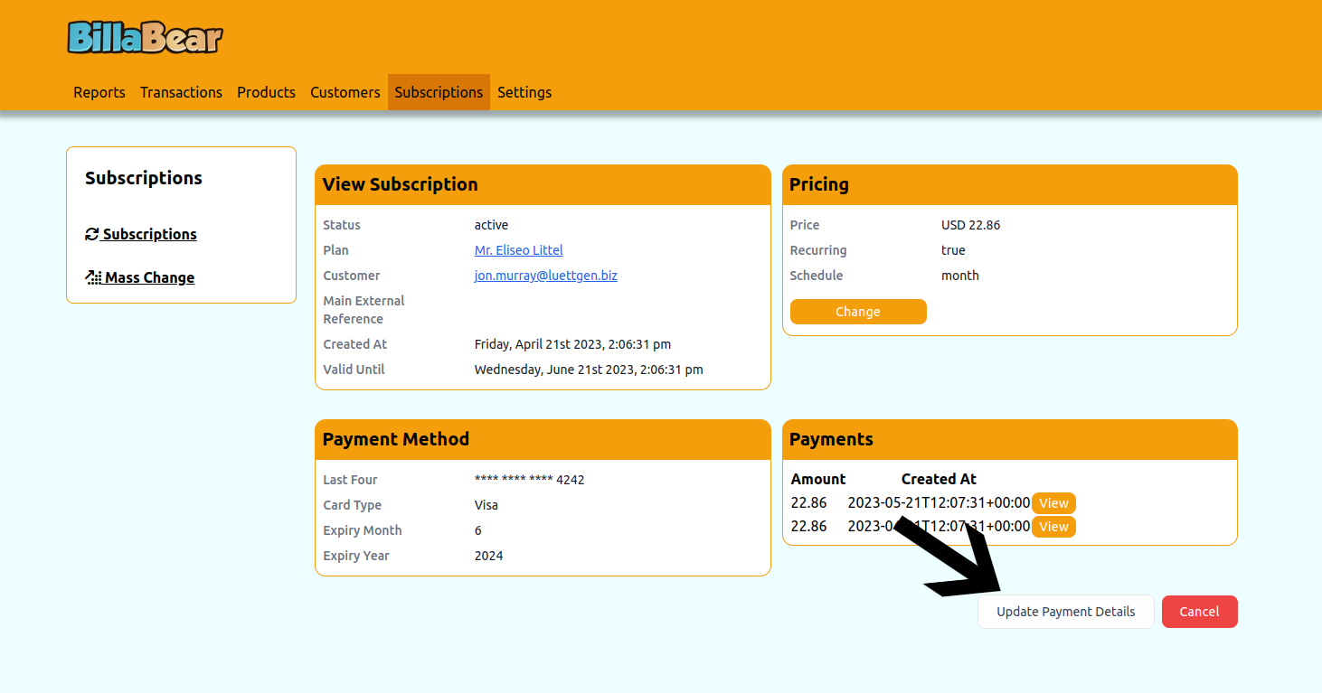 Click Update Payment Details Button